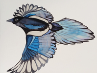 Magpie