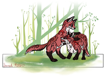 Fox cubs