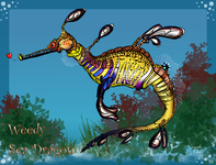 Weedy Sea Dragon